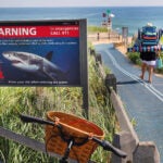 A shark warning sign at the entrance to Coast Guard Beach.